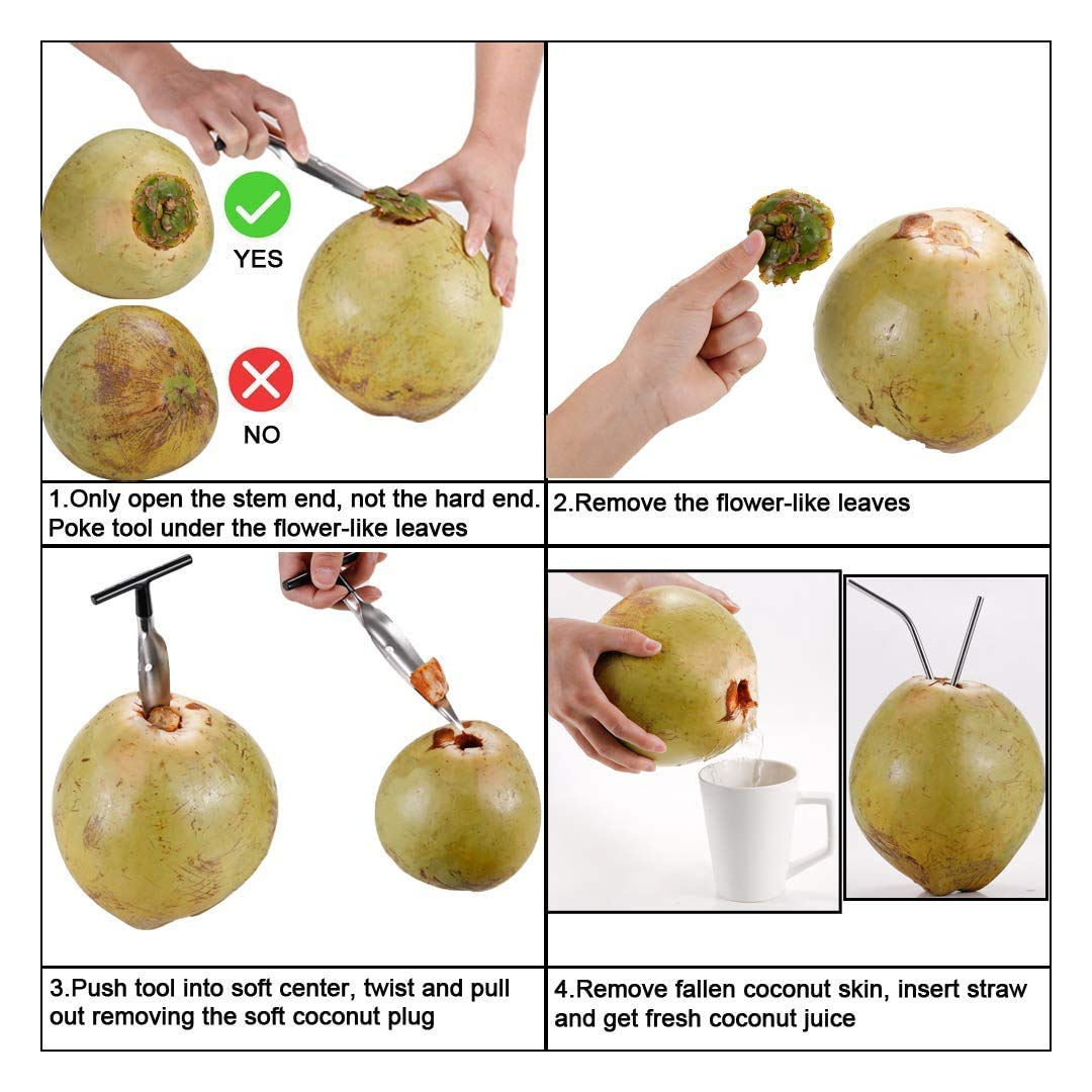 Stainless Steel Coconut Opener Tool, Heavy-Duty T-Handle Spike for Easy Tender Coconut Opening (Strong Grip, Durable Design)