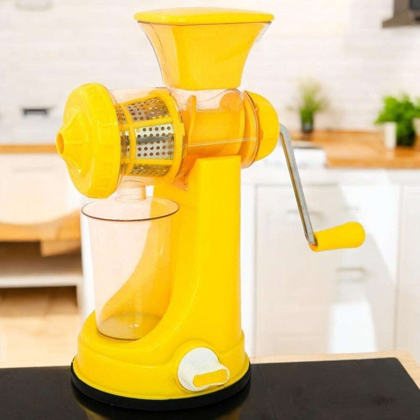 Royal Chef Fruit Juicer