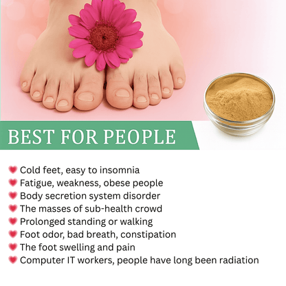 Detox Foot Patches - Buy 1 Get 1 Free (20 Patches) @ Just Rs. 279/-