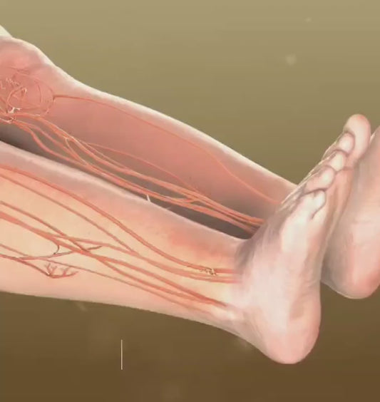 Detox Foot Patches - Buy 1 Get 1 Free (20 Patches) @ Just Rs. 279/-